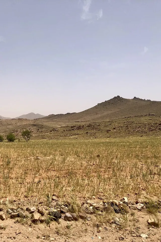 A field at the foot of the Atlas mountains, Morocco