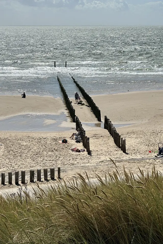 A North Sea beach and its wooden groynes, in the Netherlands